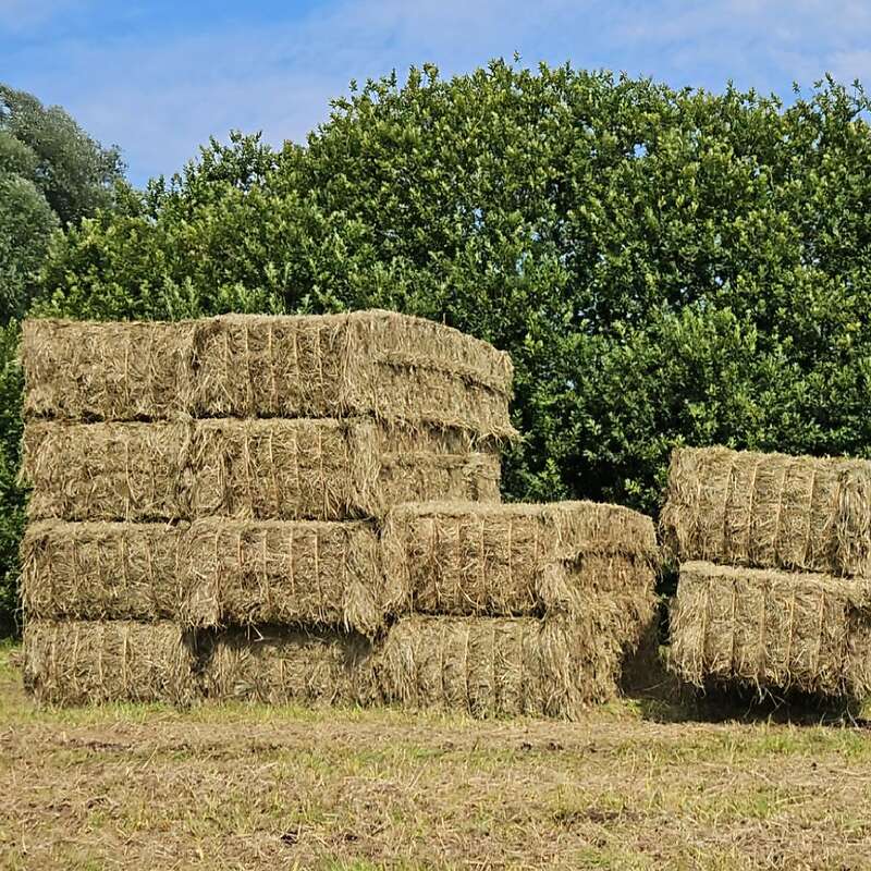 Verkaufe gutes Heu in Quarderballen - Bild 1