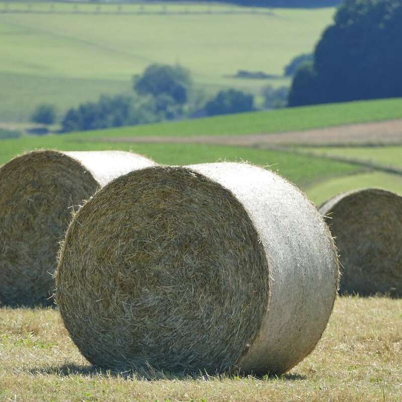 Neue Ernte 2023 - Pferdeheu / Heu - Rundballen - Bild 1