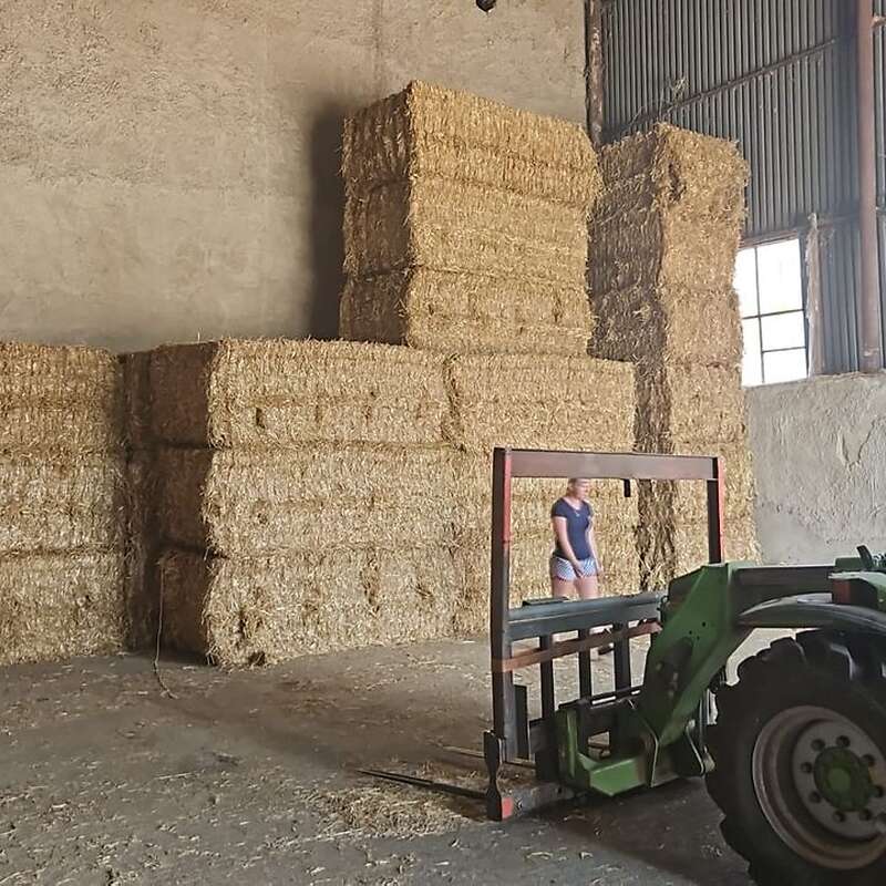 Heu - Stroh - Luzerne - Siloballen - Heulage BIO - Bild 1