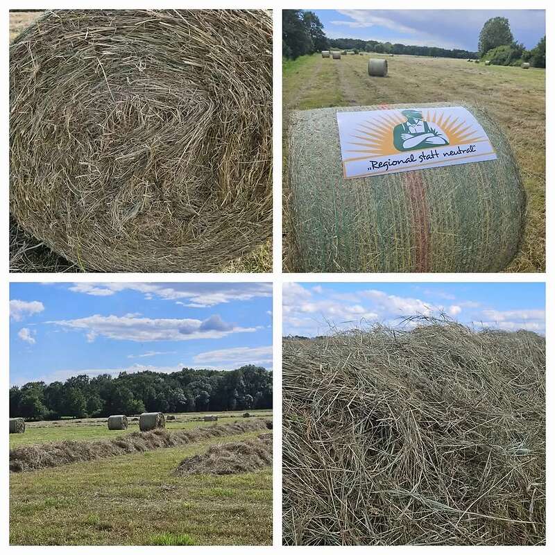 Heu Rundballen Ernte 2025 - Bild 1
