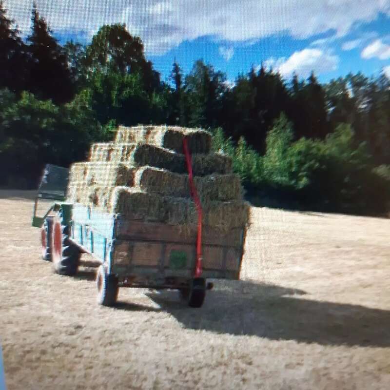 Heuballen aus 2025 - Bild 1