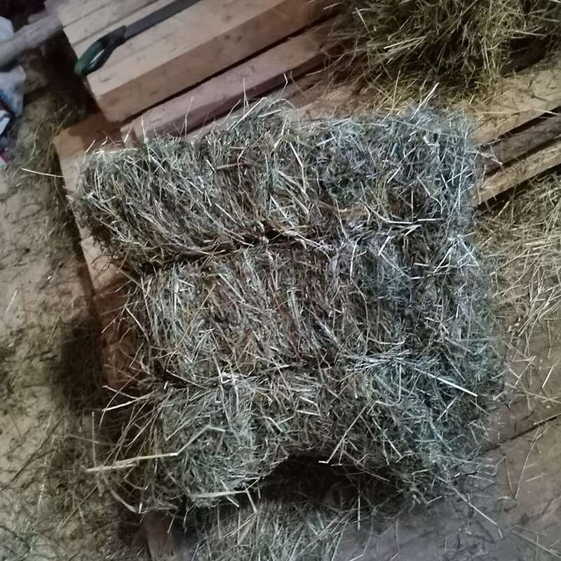 Heuballen in Quadrat form zu verkaufen.  - Bild 1