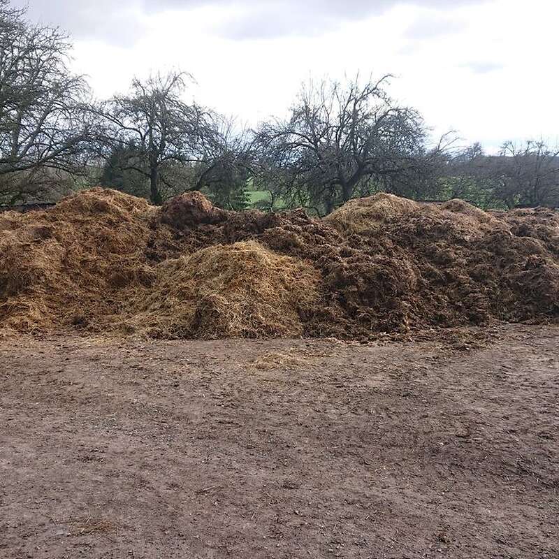 Öko - Wirtschaftsmist (Rind und Schaf) ca. 500 Tonnen - Bild 1