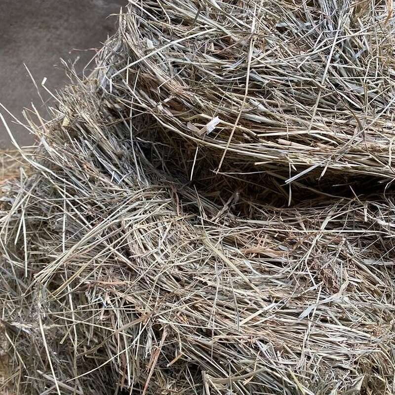 Pferde heu, Kleegras heu, Silage aus 2022 in Demeter Qualität - Bild 1