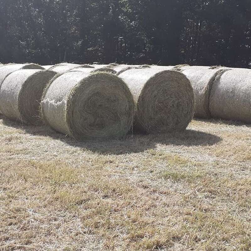 Heu Rundballen 120cm  - Bild 1