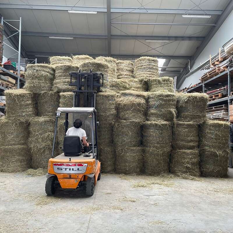 Ganze Ernte Heu, 1. Schnitt aus Juni 2023, zu verschenken,  - Bild 1