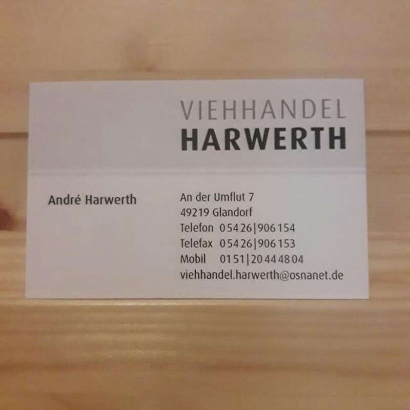 Fleckvieh-Fresser - Bild 1