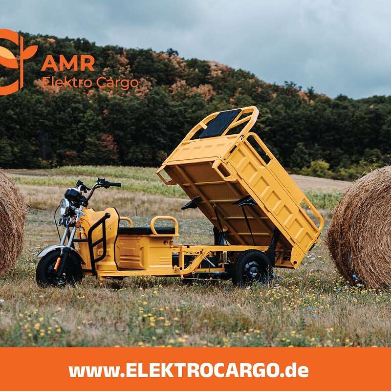 AMR Elektro Cargo 250 - www.ELEKTROCARGO.de - Piaggio Ape Änlich Elektro Dreirad Elektrisches Lastendreirad Mofa Kipper Pritsche TUK TUK Cargo Transporter - Bild 1