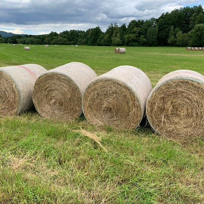 Bio-Heuballen und Bio-Silageballen - Bild 1