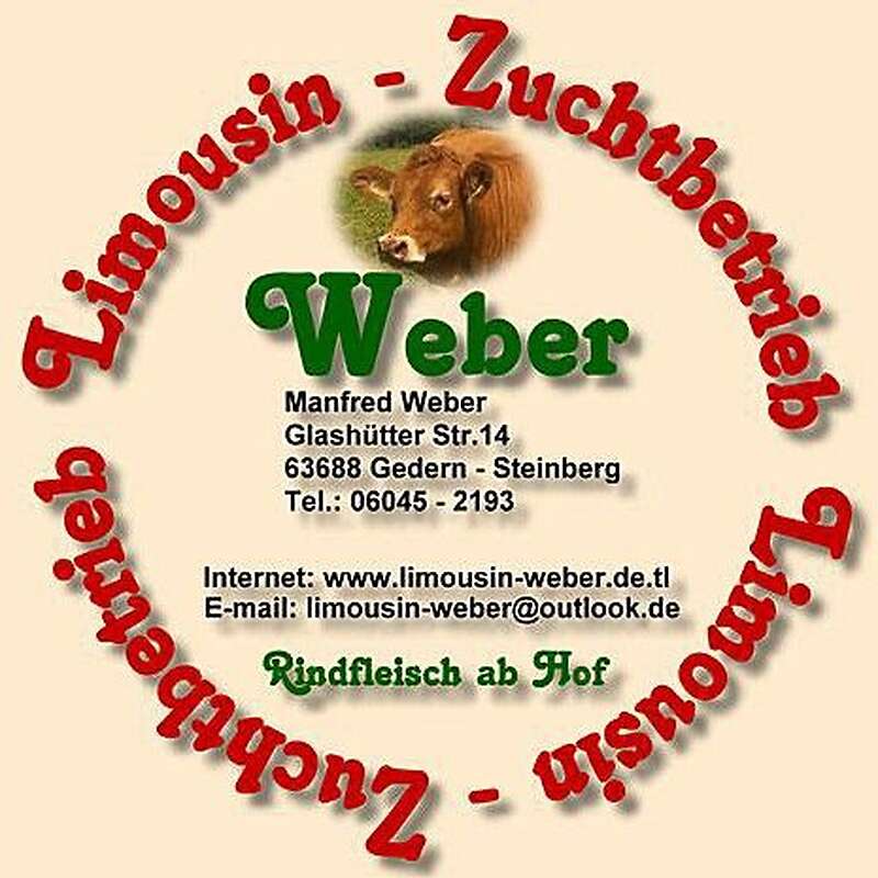 genetisch hornloser Bio Limousin HB Deckbulle - Bild 1