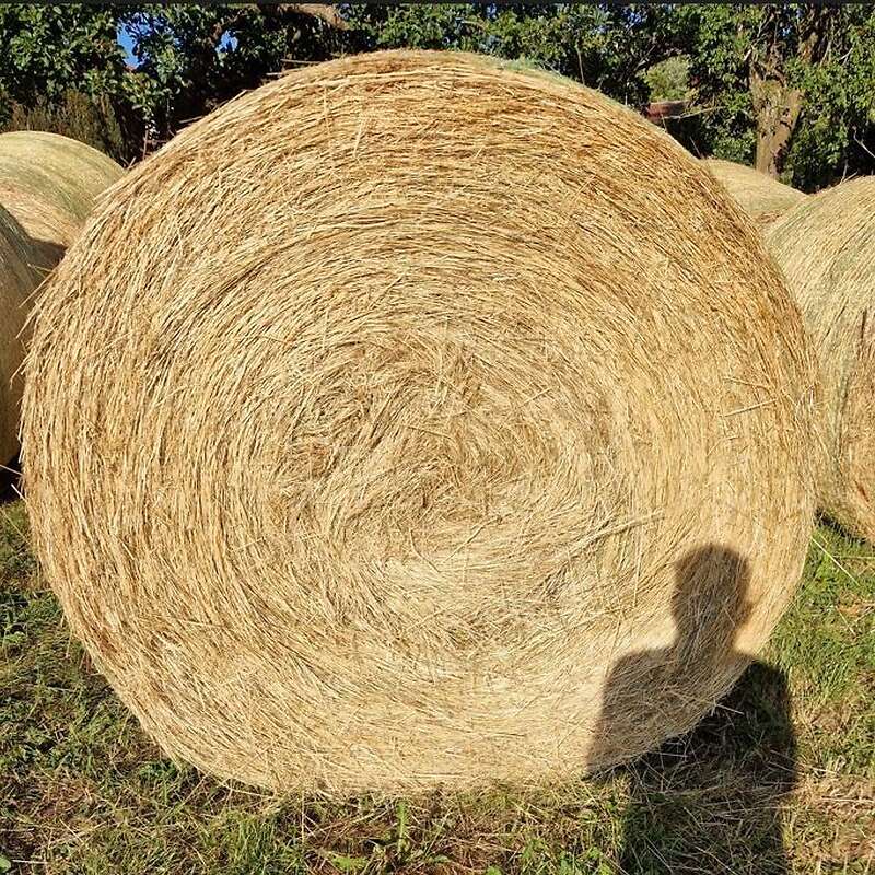 Heu in Rundballen - Bild 1