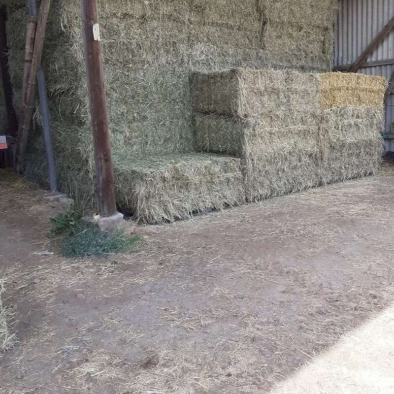 heu in rund oder quaderballen zu verkaufen - Bild 1