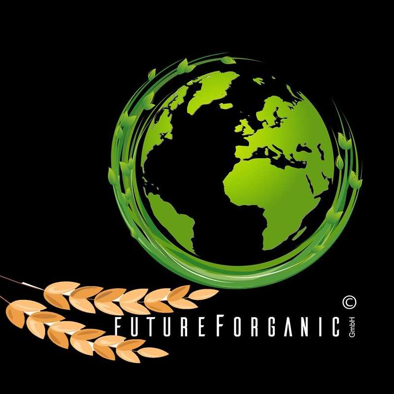 FutureForganic kauft Bio Weizen (Futter und Speise) - Bild 1