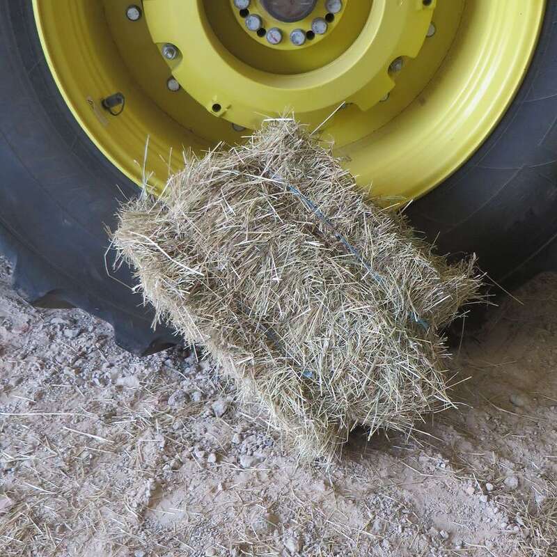 Heu aus dem Meißner Hochland - kleine Quaderballen - Bild 1