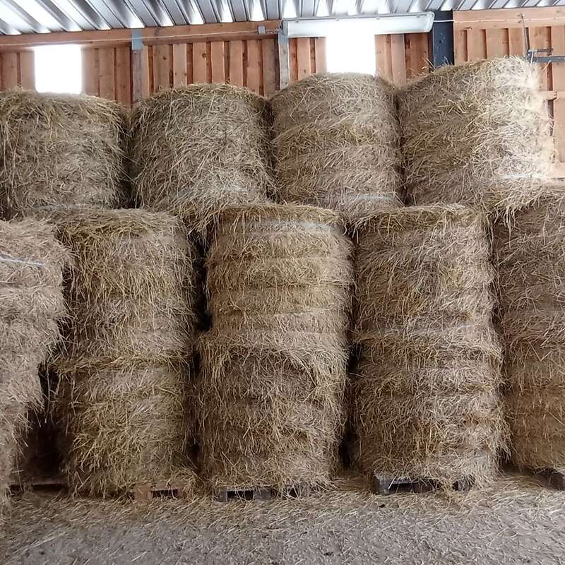 Heu Rundballen Pferdeheu - Bild 1