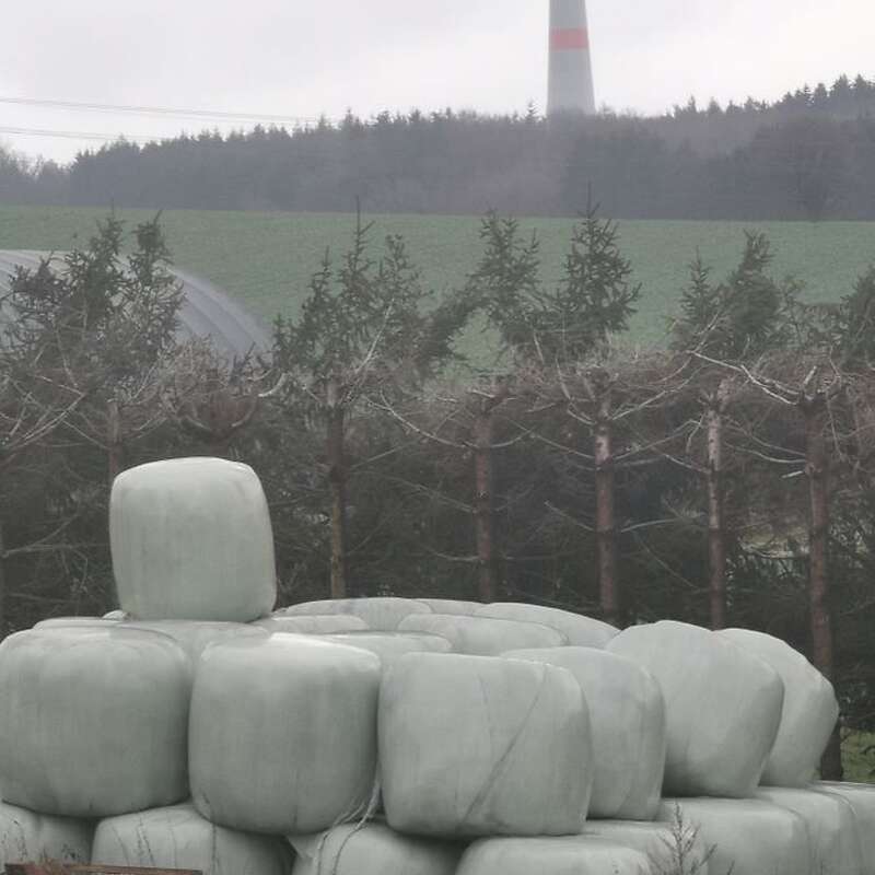 Schaferei  - Bild 1