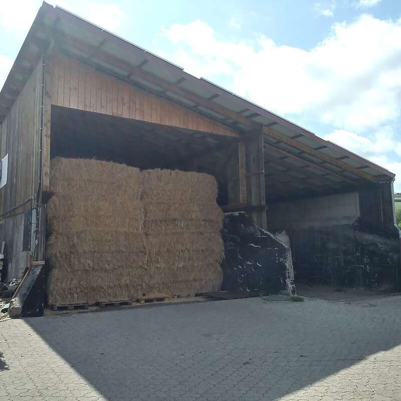 Pferdeheu - Bild 1