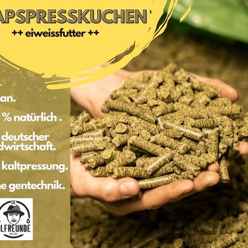 Rapspresskuchen Trester Schweine Rind Eiweiß Eiweissfutter - Bild 1