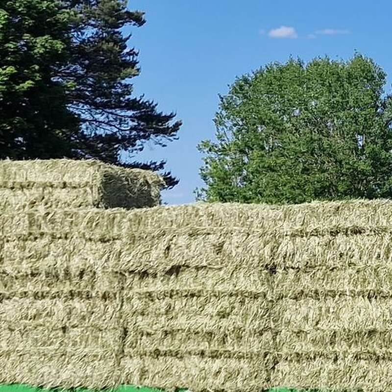 Heuquaderballen Ernte 2024 - Bild 1