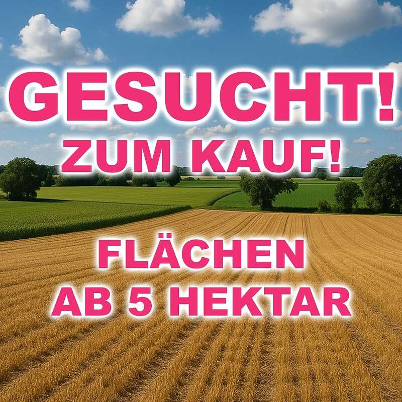 Kaufe Flächen ab ca. 5 Hektar in Niedersachsen – direkter Ankauf für Solarprojekt - Bild 1