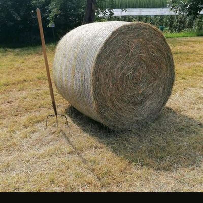 Biete Heu (1. Schnitt) aus artenreicher Magerwiese - Bild 1