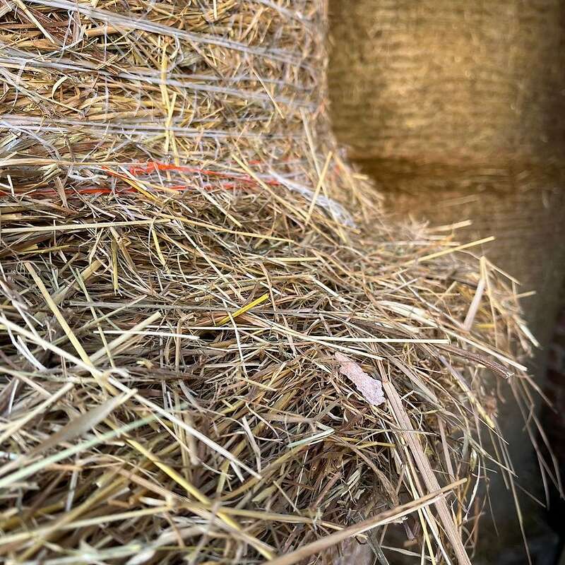 Heurundballen, Heu, Rundballen - Bild 1
