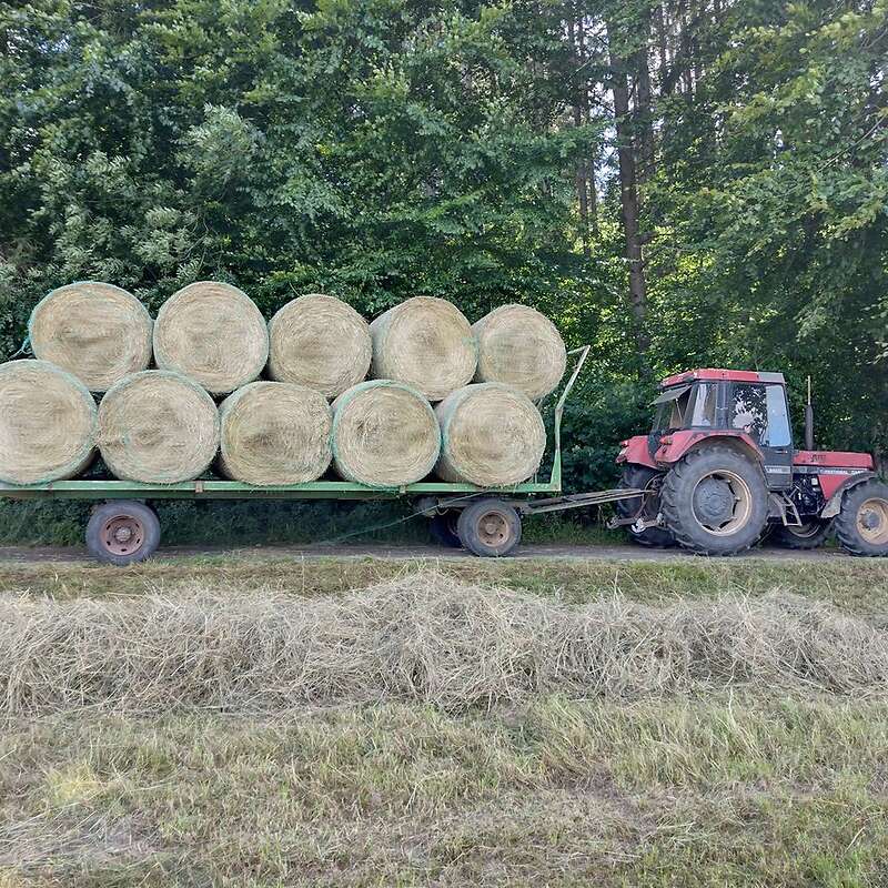 130cm Rundballen Heu - Bild 1