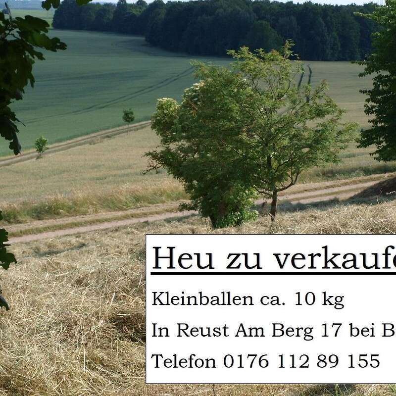 Heu Kleinballen  - Bild 1