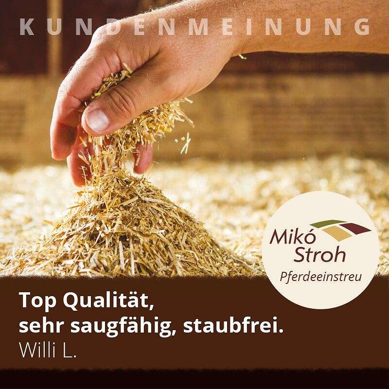 Pferdeeinstreu aus Weizenstroh - Bild 1