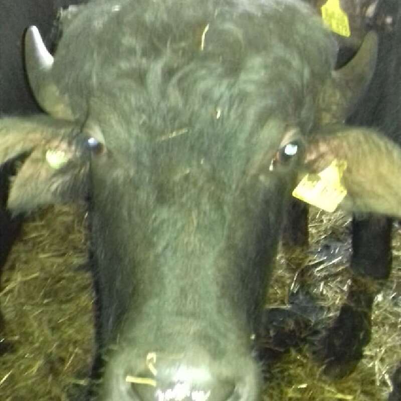 Vermittel im Auftrag 2,0 - Bild 1