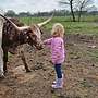 Texas Longhorn Herde - Bild 9