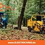 AMR Elektro Cargo 250 - www.ELEKTROCARGO.de - Piaggio Ape Änlich Elektro Dreirad Elektrisches Lastendreirad Mofa Kipper Pritsche TUK TUK Cargo Transporter - Bild 30