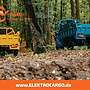 AMR Elektro Cargo 250 - www.ELEKTROCARGO.de - Piaggio Ape Änlich Elektro Dreirad Elektrisches Lastendreirad Mofa Kipper Pritsche TUK TUK Cargo Transporter - Bild 32
