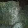 Heu 1. Schnitt 2024 kleine HD Ballen - Bild 2