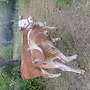 Frau - Bild 2