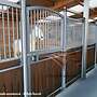 Hochwertige Pferdeboxen | Boxenfronten mit Fressgitter | Innenboxen, Trennwände und Modulare Stallwände - Stalltrennwand & Stallfront für Pferde - Bild 33