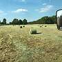 Heurundballen zu verkaufen - Bild 4