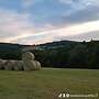 Bio Heu Rundballen  - Bild 2