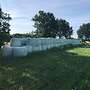 Pferde heu, Kleegras heu, Silage aus 2022 in Demeter Qualität - Bild 2