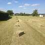 Heu in kleinen ballen - Bild 2