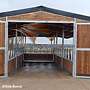 Pferdestall bauen | Außenbox, Pferdebox und Offenstall kaufen, Weidehütte, Laufstall für Pferde & Pferdeunterstand - Top Stallungen - Bild 39