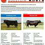 Wagyu 100% Fullblood Embryonen - 10er Start-Paket - Bild 3