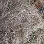 Bio heu - Bild 2