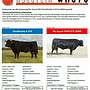 Wagyu 100% Fullblood Embryonen - 10er Start-Paket - Bild 5