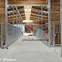 Pferdeboxfront aus Stahl - Hochwertige Frontsysteme für Pferdeboxen | Boxenfronten & Innenboxen | Modulare Stallwände mit Fressgitter | Trennwände für Pferdestall - Bild 45
