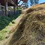 Pferde heu, Kleegras heu, Silage aus 2022 in Demeter Qualität - Bild 4