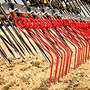 (Stroh-) Striegel / Straw Master WSM  - Bild 9