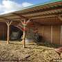 Aussenboxen & Pferdestall bauen Top - Pferdebox, Offenstall, Weidehütten & Pferdeunterstand | Stallungen, Futterraufen & Heuraufe - Bild 7