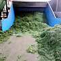 Heu - Siloballen - Stroh - Luzerne - Heusilage - Bild 7