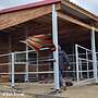 Aussenboxen & Pferdestall bauen und Offenstall kaufen, Weidehütten & Pferdeunterstand | Pferdebox Top - Futterraufen & Heuraufe für Pferde - Bild 79
